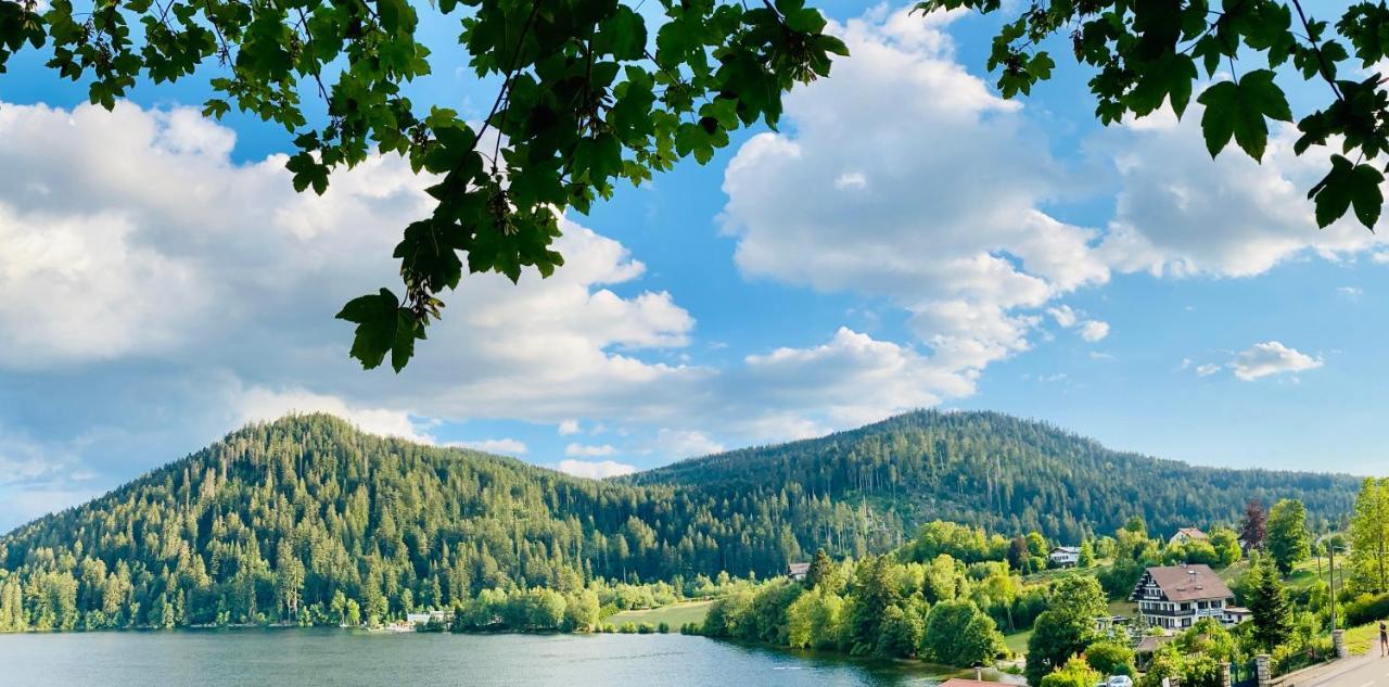 Le Chalet Au Bord Du Lac Gérardmer Exteriér fotografie